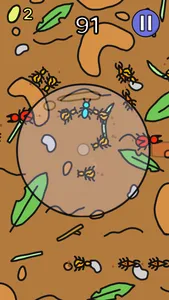 Beetle Frenzy screenshot 5