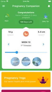 Pregnancy Companion screenshot 0