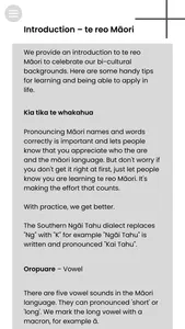 Mana Rangatahi Kete screenshot 3