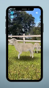 Sheep EAD AR screenshot 3