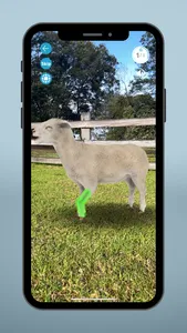 Sheep EAD AR screenshot 4