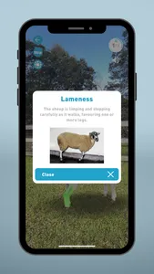 Sheep EAD AR screenshot 5