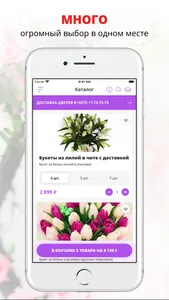 Доставка цветов Виоле | Чита screenshot 0