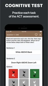 British Army Cognitive Test screenshot 2
