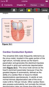 Pharmacotherapy Principles 6/E screenshot 5