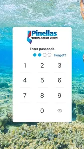 Pinellas FCU Mobile+ screenshot 1