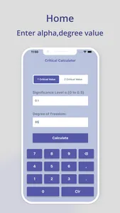 Critical Value Calculator screenshot 1