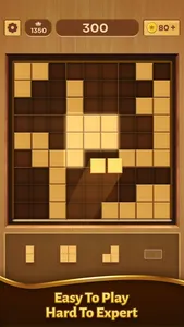 Wood Block Puzzle : Brain Game screenshot 4