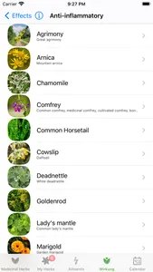 Medicinal Herbs Info screenshot 4