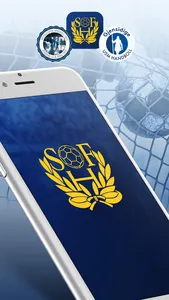 SWE Handboll screenshot 0