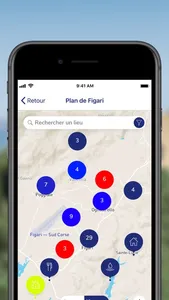 Figari Corse du Sud screenshot 1