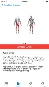 Dumbbell Home Workout Plan screenshot 4