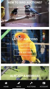 Bird Auctions screenshot 2