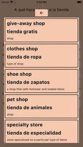 AI Spanish Dictionary screenshot 2