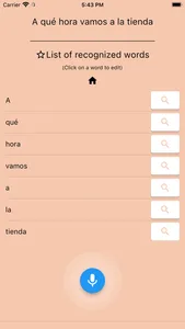 AI Spanish Dictionary screenshot 3