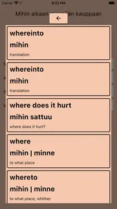 AI Finnish Dictionary screenshot 4