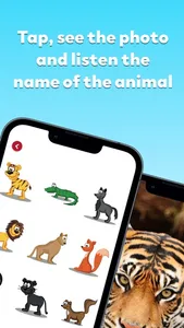 Flashcards with Animals screenshot 1