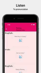 Learn Irish Language screenshot 4