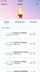 Quran Hindi 360 screenshot 1