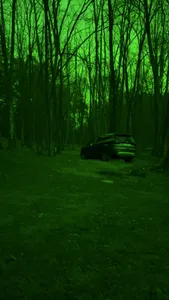 Green Night screenshot 0