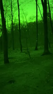 Green Night screenshot 3