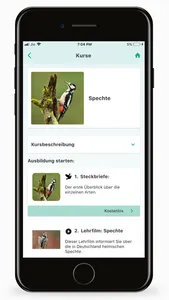 Orniversity screenshot 2