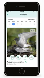 Orniversity screenshot 5