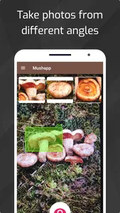 Mushrooms - AI Identifier screenshot 1