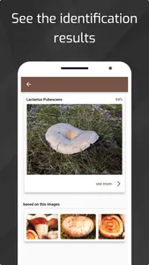 Mushrooms - AI Identifier screenshot 2