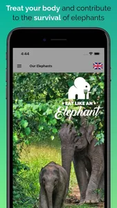 Eat like Elephant screenshot 4