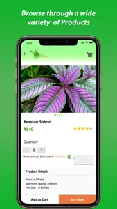 Oxygreens - Buy Plants Online screenshot 2