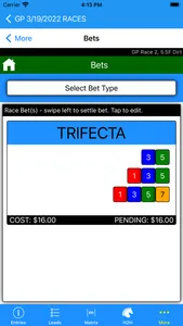 Dead Heat Horse Racing Tools screenshot 5