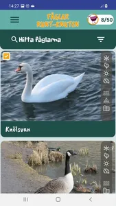 Fåglar Runt-Knuten screenshot 1