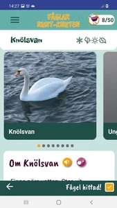 Fåglar Runt-Knuten screenshot 2