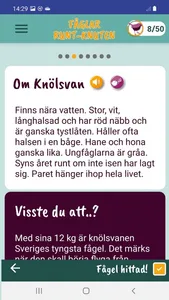 Fåglar Runt-Knuten screenshot 3