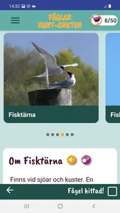 Fåglar Runt-Knuten screenshot 4