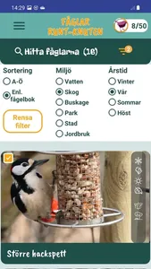 Fåglar Runt-Knuten screenshot 5