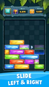 Dropdom Slide Block Puzzle screenshot 2