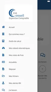 LSA CONSEIL screenshot 4