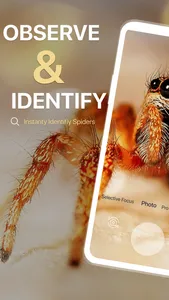 Spiders Identifier by Photo ID screenshot 0