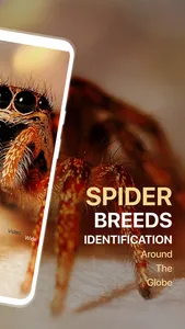 Spiders Identifier by Photo ID screenshot 1