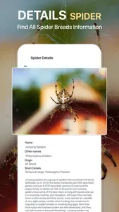 Spiders Identifier by Photo ID screenshot 3