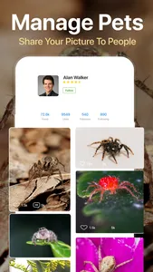 Spiders Identifier by Photo ID screenshot 4