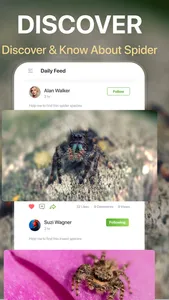 Spiders Identifier by Photo ID screenshot 5