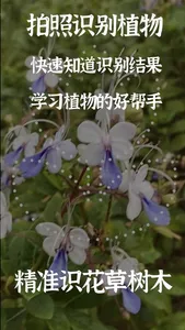 拍照识别植物-精准识花草虫鸟树木 screenshot 1