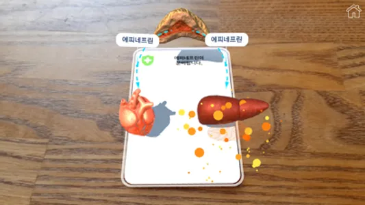 AR 항상성 실험실 screenshot 3