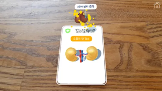 AR 항상성 실험실 screenshot 4