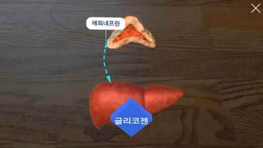 AR 항상성 실험실 screenshot 5