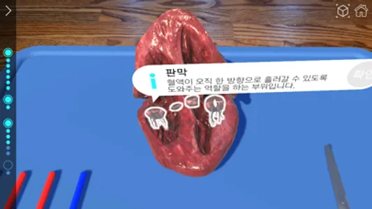 AR 해부실험실 screenshot 7