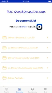 BK Questionnaire screenshot 2